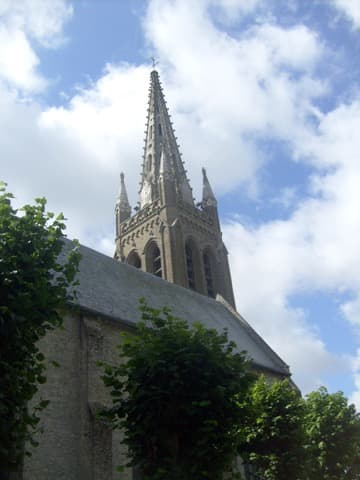 Couvreur Rexpoëde